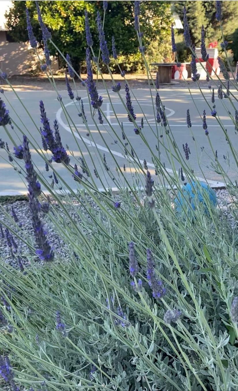 Lavender Farm House Nafpaktos Exterior foto